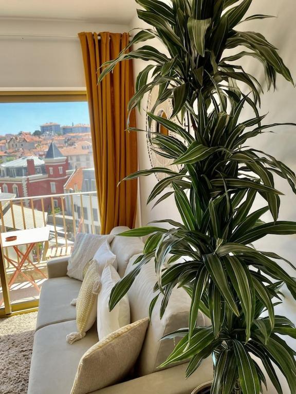 Superb Floor Studio, Center. Apartamento